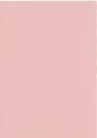 (SC19) [Koutatsu Dennou Koushi (Gunblaster Itou)] Ark Angel (Gundam Seed)