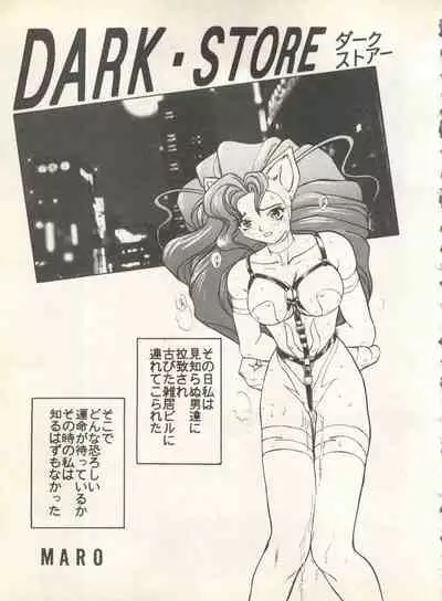 Shin Bishoujo Shoukougun 4 Houou hen