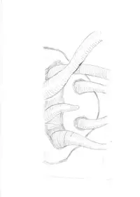 [MYON+1] Nyarurafu! (Haiyore! Nyaruko-san)