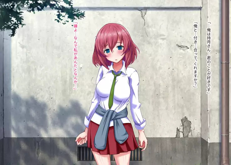 Akogare no Ano Ko ga Ore wo Kiratte Ita node Sennou Shite Koibito ni Shita