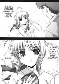 (C66) [Studio Wallaby (Takana Yu-ki)] Secret file next 10 I feel my Fate (Fate/stay night) [English] [SaHa]