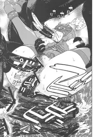 (C68) [From Japan (Aki Kyouma, Funato Hitoshi)] FIGHTERS GIGAMIX FGM Vol.24 (Rumble Roses)