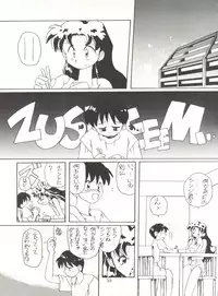 (CR18) [Paradise City (Various)] Tabeta Kigasuru 14 (Neon Genesis Evangelion)