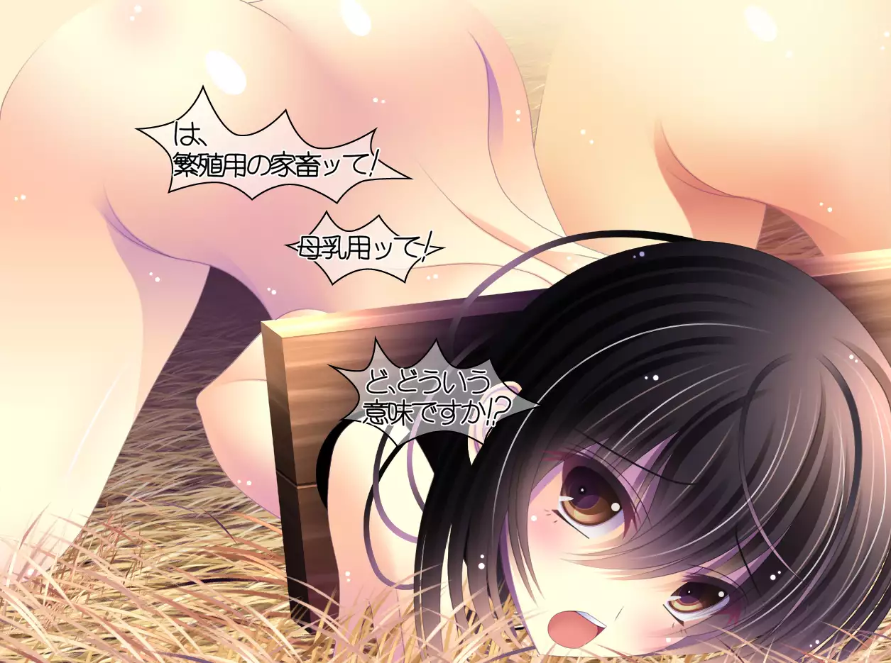 yabure, bakunyu chochichi naedoko ni, benki ni Daraku To sa reru hiroin!~ Hime ○ setsuna ~