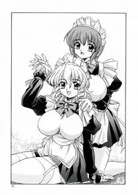 (C60) [Narimasuya (Akiba Wataru)] DOLLS DIARY 4