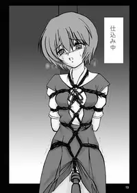 (COMIC1☆6) [Thirty Saver Street (Maki Hideto,Sawara Kazumitsu,Yonige-ya No Kyou)] Second Soushingeki 2 (Neon Genesis Evangelion) [Digital]