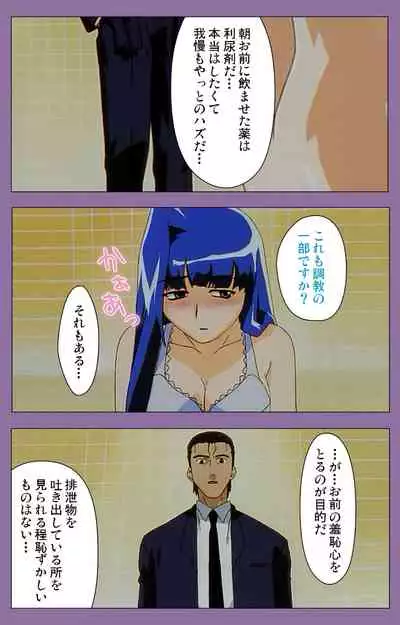 Shimai-ijiri kanzenhan