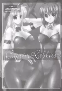 (C79) [WARP Co (45ACP)] Captive Rabbitl (Mahou Shoujo Lyrical Nanoha)