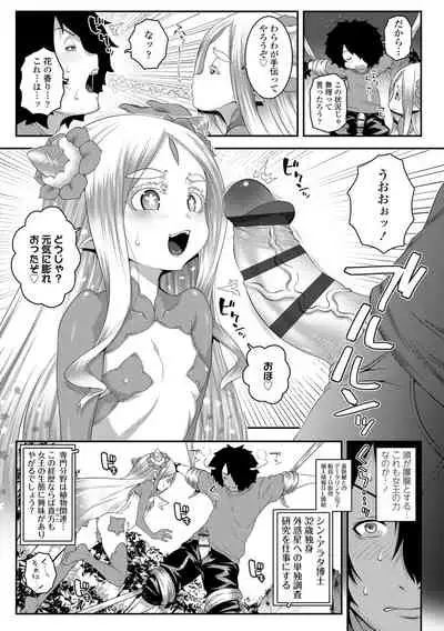 Soutaisei Virgin Theory