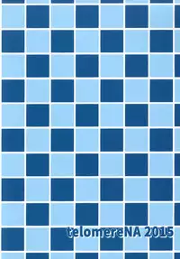 [telomereNA (Gustav)] Sen-chan to Issho | Together with Sen (Granblue Fantasy) [English] [Team Koinaka + White Symphony] [Digital]