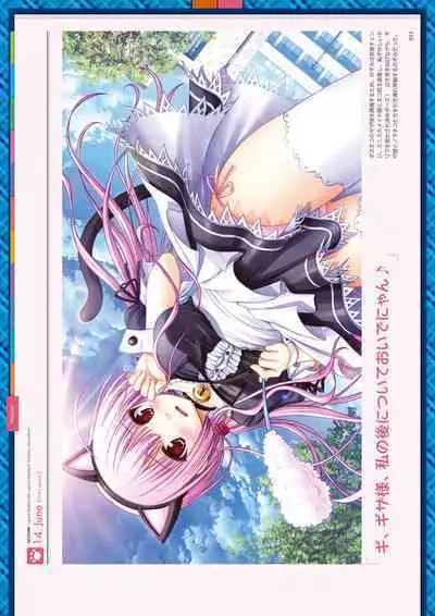 Daitoshokan no Hitsujikai Visual Fan Book Houkago Shippo Days & Dreaming Sheep Visual Fan Book