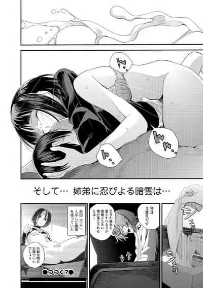 [Yoshida Tobio] Onee-chan to no Himegoto ~Ireru Toko Wakaru?~ [Digital]