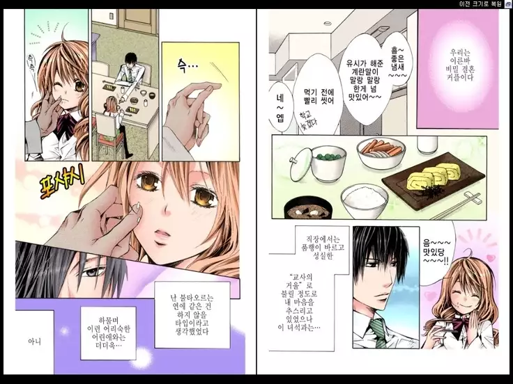 Naisho no Love Mariage | 비밀의 결혼