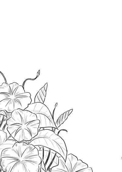 Hikari no Kimi no Saganaki Keikaku <Yuugao>