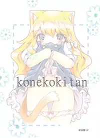 [Nijigen Koubou (Hirayuki Rio)] Koneko Kitan (Touhou Project) [Digital]