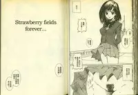 草莓100分 14