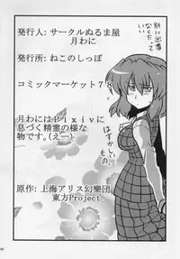 (C78) [Circle Nuruma-ya (Tsukiwani)] Hakuro Douchuu (Touhou Project)