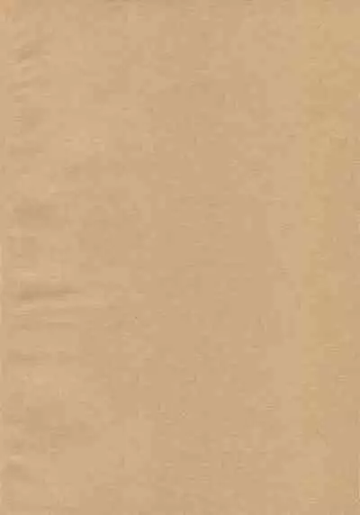 Are the rumors true that the Bass Vocals and Drums of that Popular Band are Futanari!?