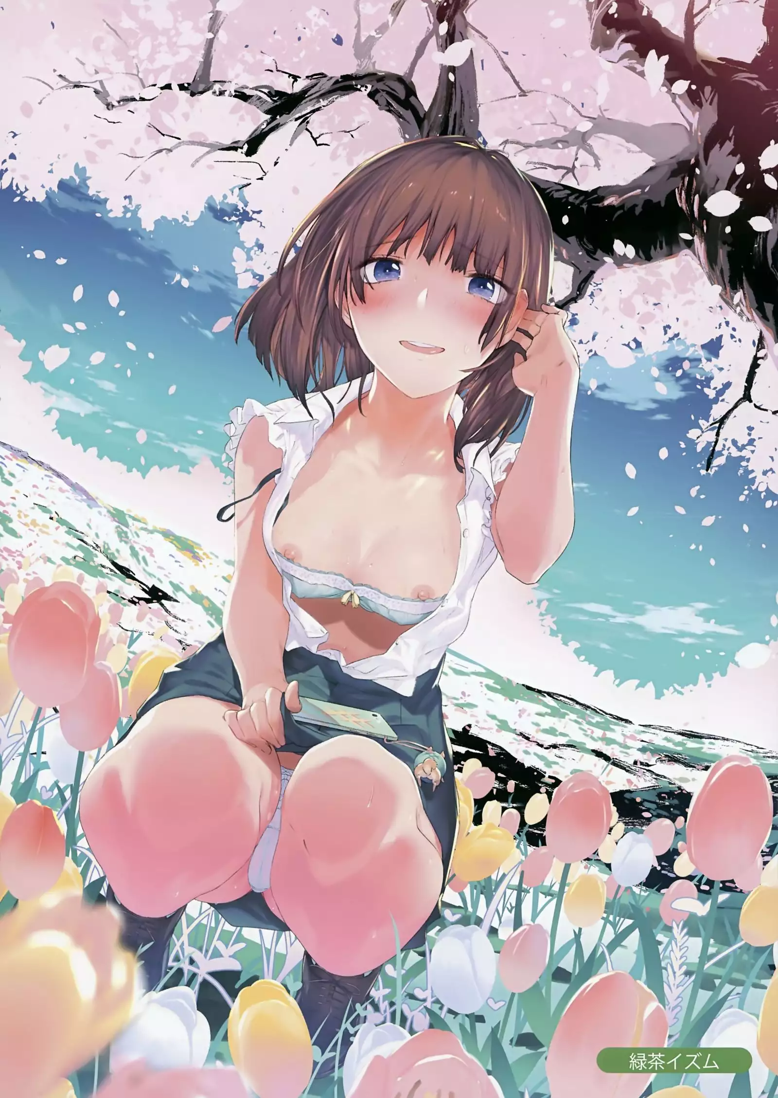 Melonbooks Collection of Pictures -another .ver-