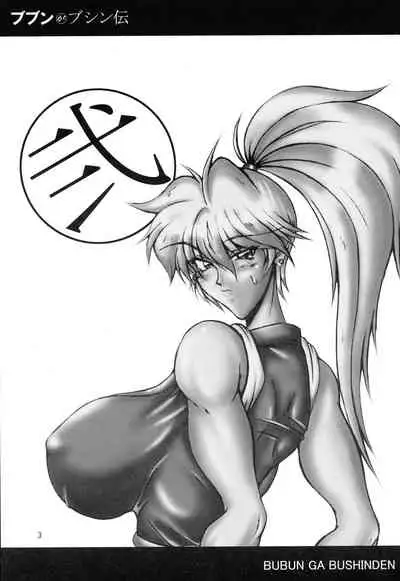 (C67) [bash-inc (BASH)] Bubun ga Bushinden 2 (2x2=Shinobuden, Final Fight 2)