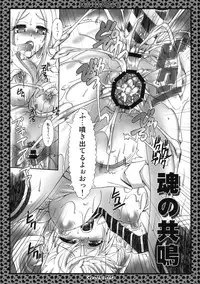 (SC40) [Search-Light (Kurosaki Kotora)] Trigger Happy (Soul Eater)