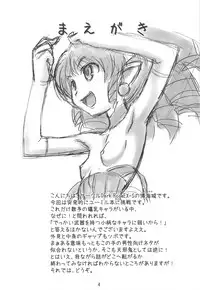 (SC45) [Dark RoseEX-S (Hirooki)] Himesama wa Okatai no ga Osuki? (Queen's Blade)