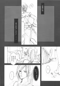 (C73) [50BMG, Akai Tsubasa (Shindou Nobumichi, Tachibana Chata)] LOVE FOOL.07 (Fantasy Earth ZERO)