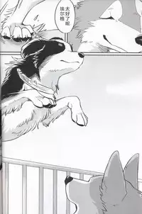 (Kansai! Kemoket 7) [Kaiten ParaDOGs (Diga Tsukune)] Usotsuki Tachi no " " | 讹言者们的“ ” [Chinese] [兔屋汉化组]