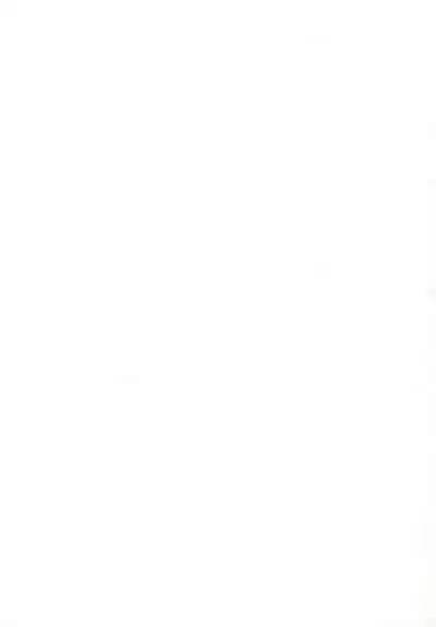 (Mimiket 7) [Inuburo (Inuburo)] INUBURO 04