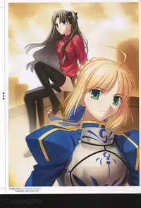 [Type-Moon] Fate/complete material I - Art material.
