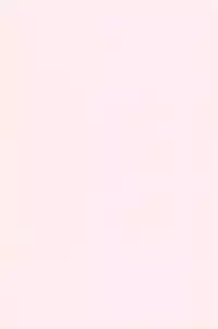 (C50) [P.A. Project (Teruki Kuma)] Teddy Bear no Omise Vol. 1 (Various)