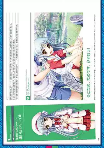 Daitoshokan no Hitsujikai Visual Fan Book Houkago Shippo Days & Dreaming Sheep Visual Fan Book
