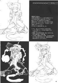 (C81) [Narumiya (Narumiya)] Tama Tama Shippo (Touhou Project)