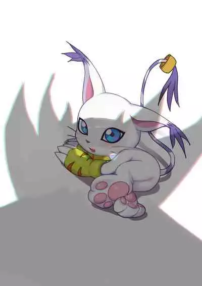 蘑菇的杂图集合