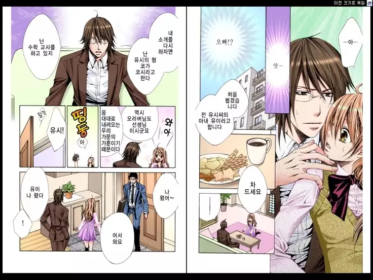 Naisho no Love Mariage | 비밀의 결혼