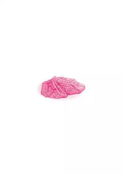 スクールカースト | 校園性愛階級