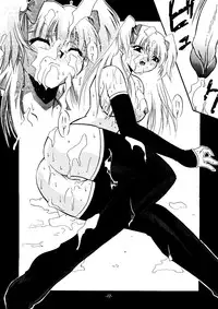 (C54) [STUDIO TRIUMPH (Homura no Teruki)] Sincron Maximum ~W.A~ (White Album)