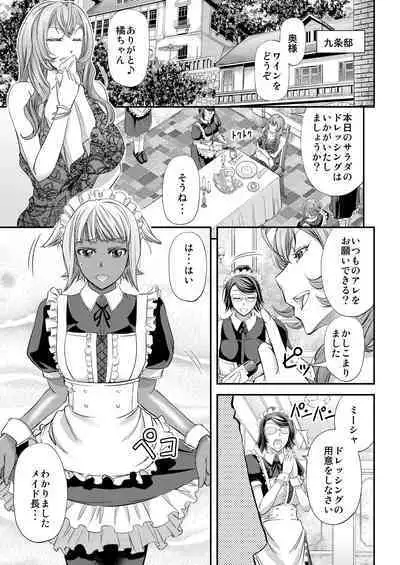 Kyuujyougaruyuu Aigan Maid no Shitsukekata