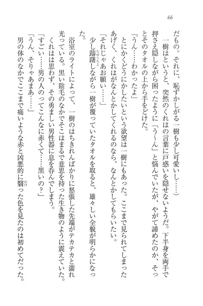 お嬢様はメイド様!？