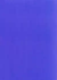 (C91) [Kodoku intelligence (Nanao)] THE BOOK OF KANAN (Love Live! Sunshine!!)