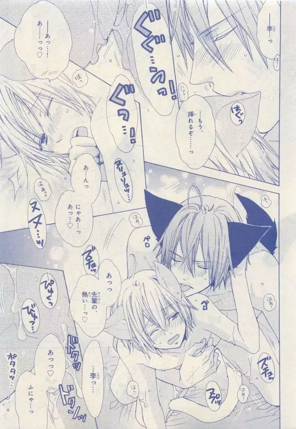 JUNK!BOY 2015 はるやすみ