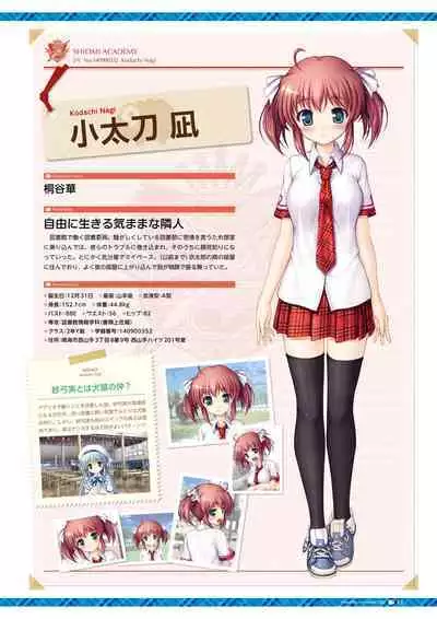 Daitoshokan no Hitsujikai Visual Fan Book Houkago Shippo Days & Dreaming Sheep Visual Fan Book