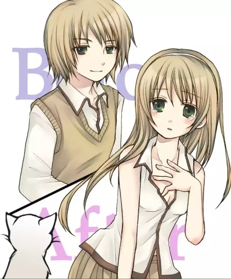 Okashi Assorted Packs - Unscented Taste