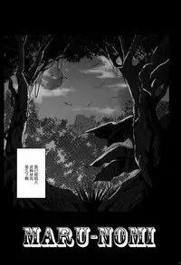 (C88) [Cyclone (Izumi, Reizei)] Rakugaki Chooo MARUNOMI (Mahou Shoujo Lyrical Nanoha) [Chinese] [魔法猪汉化]