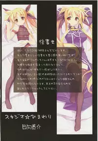 (C73) [STUDIO HIMAWARI (Himukai Kyousuke)] Kanzen Choukyou Fate Shiki (Mahou Shoujo Lyrical Nanoha)