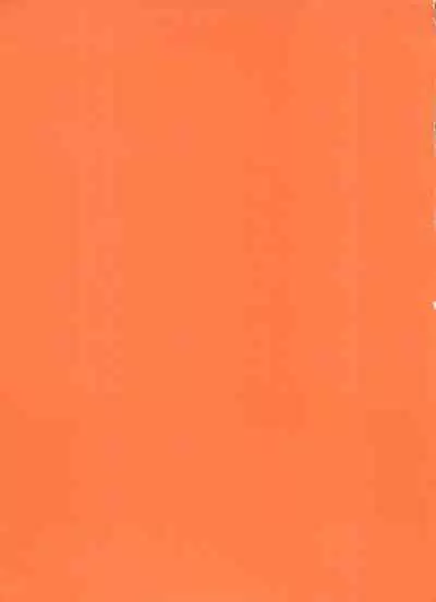 Shin Bishoujo Shoukougun 4 Houou hen