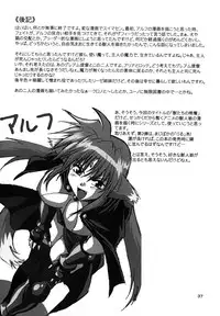 (SC34) [Studio Katsudon (Manabe Jouji)] Kemonotachi no Bansan (Mahou Shoujo Lyrical Nanoha)