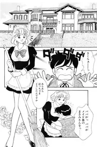 [Arimura Shinobu] Flapper Army