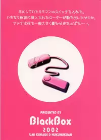 [Black Box] Mitsu (King of Fighters)