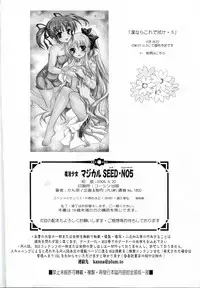 [PLUM (Kanna)] Mahou Shoujo Magical SEED No.5 (Mahou Shoujo Lyrical Nanoha) [English]